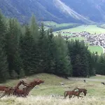 斯特凡旅馆 * 朗根费尔德