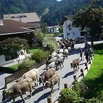 斯特凡旅馆 *