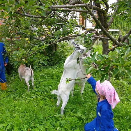 Κατάλυμα σε φάρμα Haus Stefan *