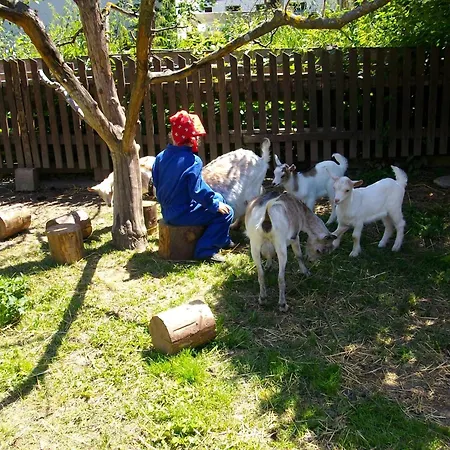 Alloggio per agriturismo Haus Stefan