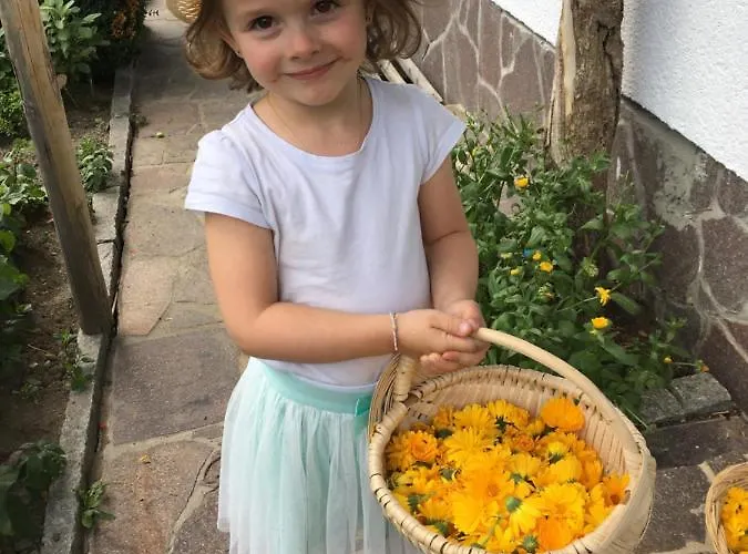 Haus Stefan * Λάνγκενφελντ