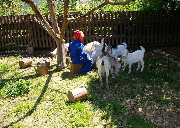 Κατάλυμα σε φάρμα Haus Stefan