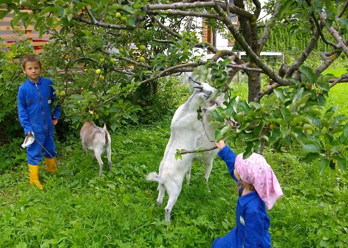 Alojamento de Turismo Rural Haus Stefan *
